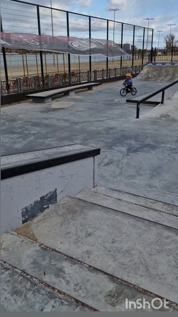 левый берег ноябрь 2025