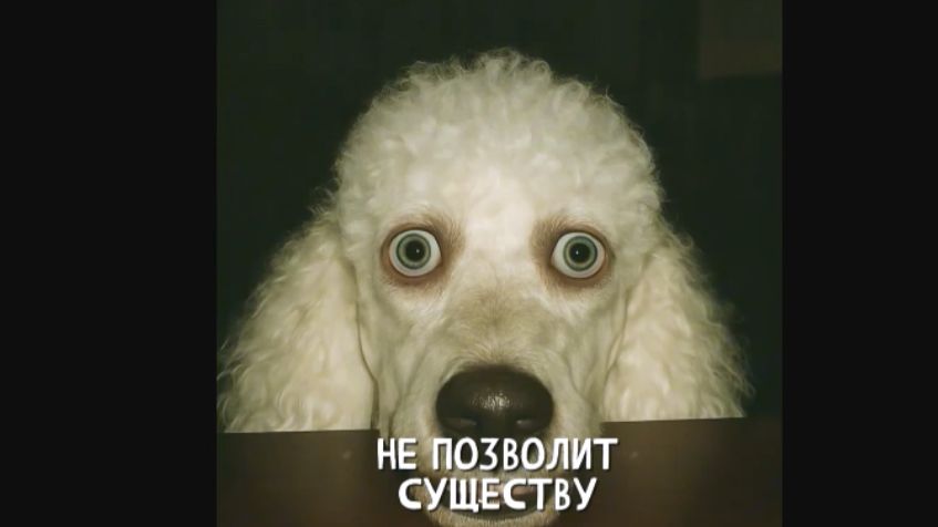 ОТЕЛЬ КАПИТАЛ. ОБЪЕКТ 324. Записи об аномалиях от К.О.Н.Т.У.Р. №76, ЗАПИСЬ 048 смотреть онлайн