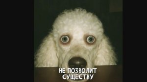 ОТЕЛЬ КАПИТАЛ. ОБЪЕКТ 324. Записи об аномалиях от К.О.Н.Т.У.Р. №76, ЗАПИСЬ 048