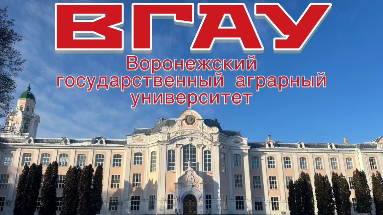 ПО ЗАЯВКАМ МОИХ ПОДПИСЧИКОВ ♥️ Обзор ВГАУ. Воронеж смотреть онлайн