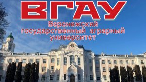 ПО ЗАЯВКАМ МОИХ ПОДПИСЧИКОВ ♥️ Обзор ВГАУ. Воронеж