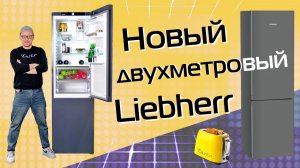 Обзор нового вместительного холодильника Liebherr с установкой в нишу и 5-летней гарантией (2026)
