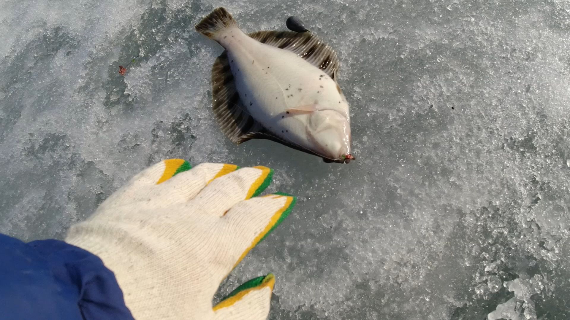 Мартовская рыбалка и лес с металлом смотреть онлайн