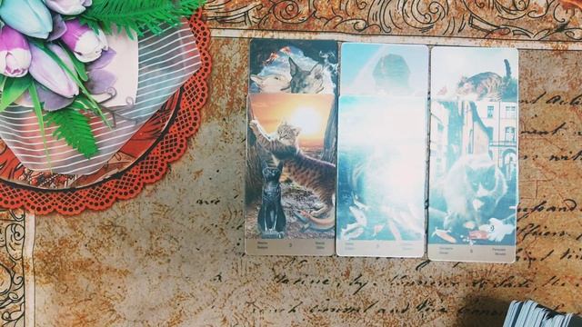 Что о вас думает и как к вам относится загаданный мужчина? смотреть онлайн