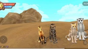 *Мини фильм Гепард к"