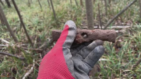 Нашел уделку. Удачно я зашел в лес