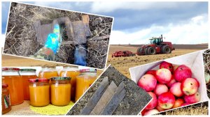 Коп 2025. Богатое место по металлу! Самое лучшее яблоко для сока!