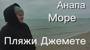 Мы где то в Америке. Опять дохлые птицы на море.