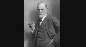 "Развивающий контент" для женщин в деграграме