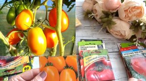 Разбор семян. Перебрала первую коробочку🤗 Подготовка к дачному сезону.