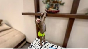 ЖАЛКО! Люся моментально разбила КРАСИВОЕ ДЕРЕВО, Ангелина сказала что дедушка починит(((