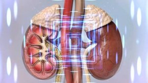 ✅ Звуковая матрица Гаряева для ПОЧЕК | 5-минутный сеанс для детокса и поддержки