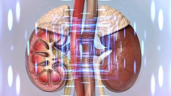 ✅ Звуковая матрица Гаряева для ПОЧЕК | 5-минутный сеанс для детокса и поддержки