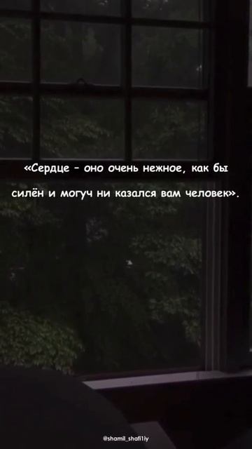 Не разбивайте сердца других. Шейх Шамиль аш-Шафи'ий. смотреть онлайн
