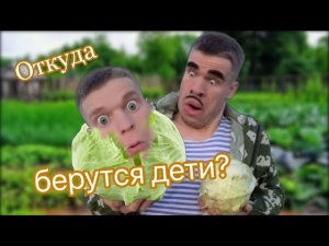Малой узнал откуда берутся дети