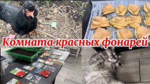 ❤️Потепление в Краснодарском крае/ Первые посадки к сезону/ Бедная Алиса/ Заячьи ушки в описании