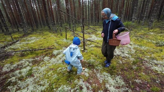 Mushrooms hunting смотреть онлайн