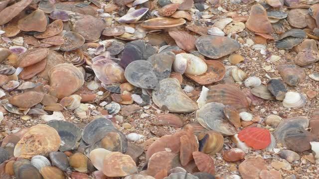 Крым. Зимнее море смотреть онлайн