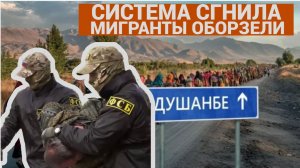 РОССИЯНЕ В УЖАСЕ! МИГРАНТЫ ПЕРЕШЛИ ЧЕРТУ! ОБОРЗЕВШАЯ ГОПОТА ЗАБИРАЕТ ГОРОДА И СЕЛА