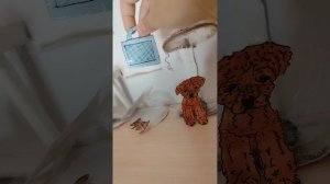 Мои бумажные собаки : 3