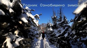 Родник Ознобишино зимой. Подольского района . Крешение. Купель. Часовня Архистратига Божия Михаила
