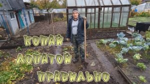 Как вскопать огород быстро и без боли в спине! Как правильно копать огород лопатой.