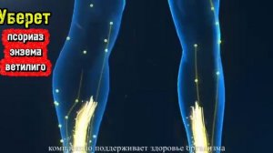 ВЕНТУН 1.0
Полное исцеление организма.Сердечно сосудистая система,иммунитет,органы, скелет