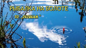Рыбалка в болоте по "окошкам".