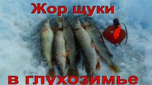 Жор щуки в глухозимье.