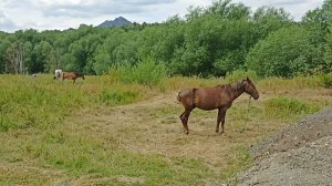 Интересные места курортного поселка Боровое (Бурабй) в Казахстане.