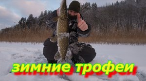 ЩУКИ не ЛЕЗУТ в лунку! Убойная рыбалка на жерлицы!