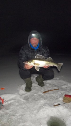 Захотелось поймать судачка! (1)