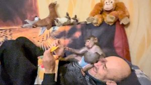 УХАХАТАЙКА! Люся стащила пакетик с манго и принесла его ЛЮБИМОМУ ПАПЕ!