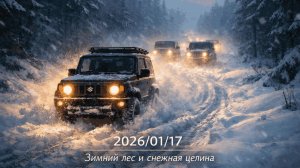 Зимний лес и снежная целина #покатухи #целина #снег #лес #зимнийлес #снежнаяцелина #jimny #suzuki