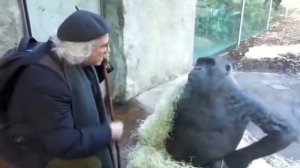 Не очень важное видео