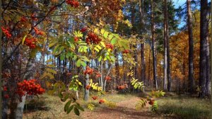 А он ничей. Поёт  Валентина Дробышева