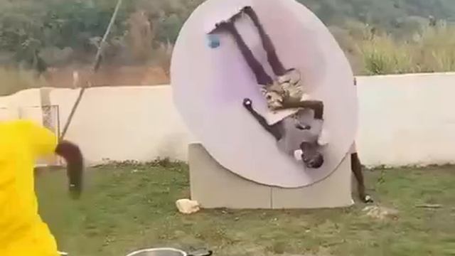 Развлекаются как могут смотреть онлайн