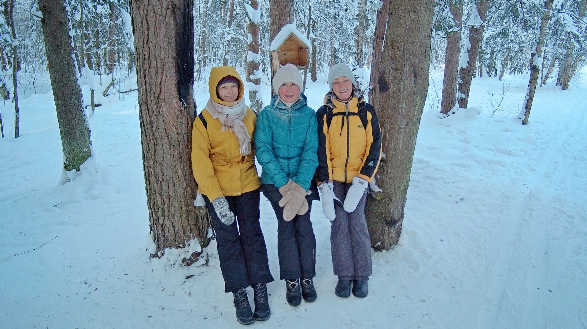 2026.01.24 Клиника ИГМУ(Кохма) - Бухарово 9 км