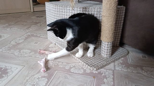 Ну ка отними смотреть онлайн