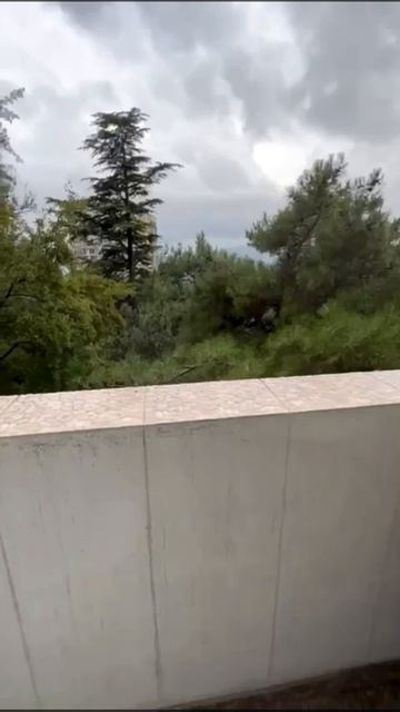 -5815950495417893754
