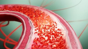 Сайт Гаряев-Матрицы.РФ СОФТРАДИО Матрица Гаряева Нормализация Давления ☀️ Всегда Нормальное Давление