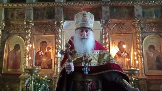 Проповедь прот. Николая Германского. 25.01.2026 г. смотреть онлайн