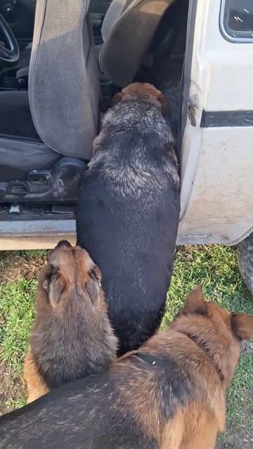 Да помоги ты уже Николаичу, изверг смотреть онлайн