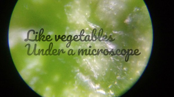 Like vegetables under a microscope