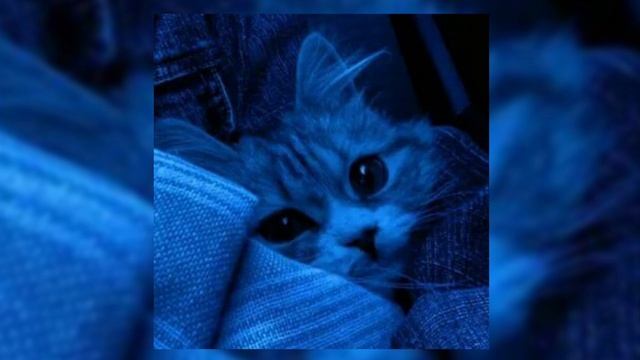 вайбовый плейлист (speed up) смотреть онлайн