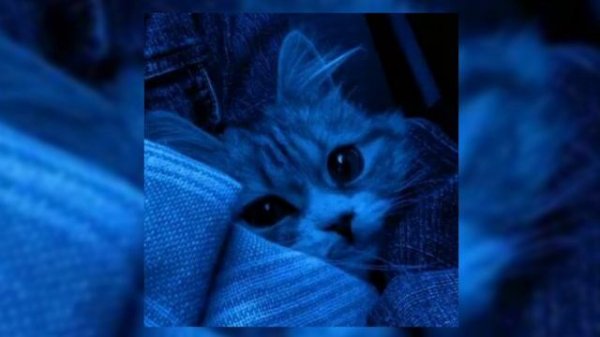 вайбовый плейлист (speed up)