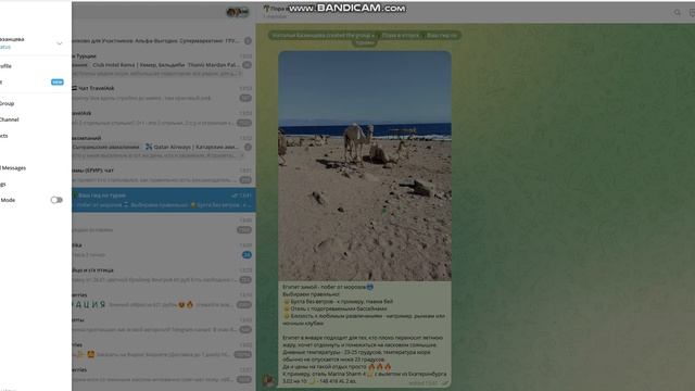 Вебинар - создание канала в Telegram и чата в MAX