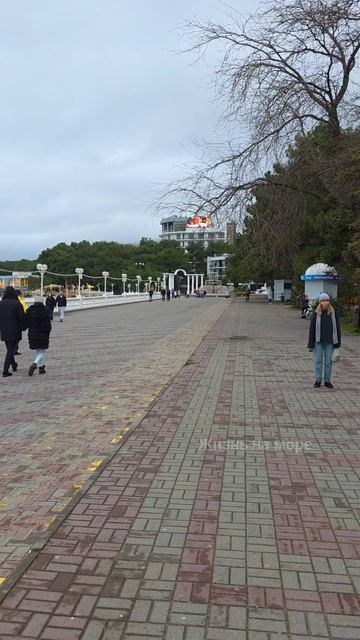 Зимний Геленджик прямо сейчас смотреть онлайн