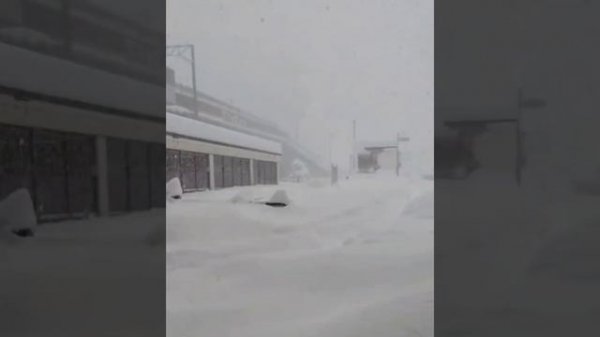 telegram-cloud-document-2-5456590331334134462