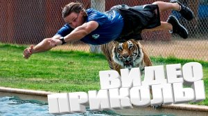 ЛУЧШИЕ ПРИКОЛЫ 2026 | ПРИКОЛЫ 2026 | СВЕЖИЕ ПРИКОЛЫ 2026 | РЖУ НЕ МОГУ |